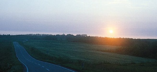 朝日の道路